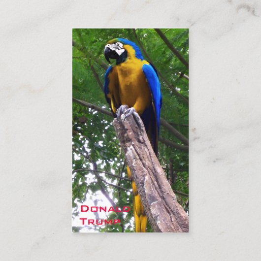 オウムが名刺を出す 名刺 (裏面)