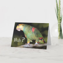 オウムってこと?