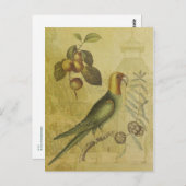 オウムと梅 ポストカード (正面/裏面)