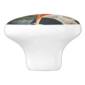 オウムのくちばしヘリコニア多年生草本 セラミックノブ (側面)