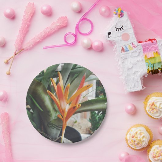 オウムのくちばしヘリコニア多年生草本 ペーパープレート (パーティー)