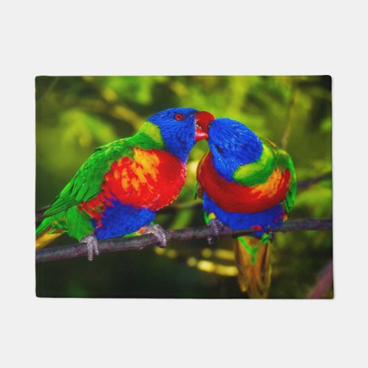 オウムのカラフルなカップル ドアマット (正面)