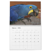 オウムのカレンダー2010年 カレンダー (2月 2026)