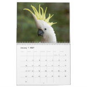 オウムのカレンダー カレンダー (1月 2027)