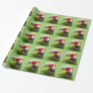 オウムのギフト用包装紙 ラッピングペーパー