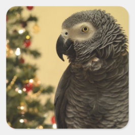 オウムのクリスマスステッカー スクエアシール