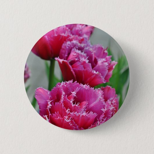 オウムのチューリップ 缶バッジ (正面)