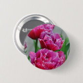 オウムのチューリップ 缶バッジ (正面&裏面)