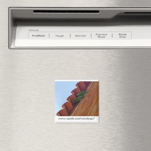 オウムのペア マグネット (インサイチュ (食洗機))