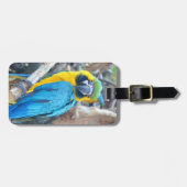 オウムのポートレート ラゲッジタグ (正面横)