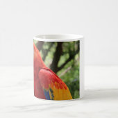 オウムのマグ コーヒーマグカップ (中央)