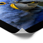 オウムのモザイク写真 ポスター (角)