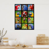 オウムのモザイク写真 ポスター (キッチン)