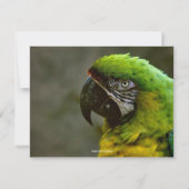 オウムの写真のパーソナライズで平らなメッセージカード ノートカード (裏面)