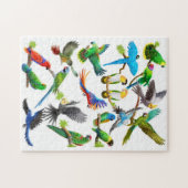 オウムの恋人のパズル ジグソーパズル (横)