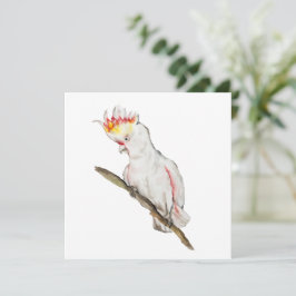 オウムの水色スケッチ