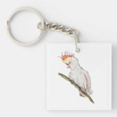 オウムの水色スケッチ キーホルダー (正面)