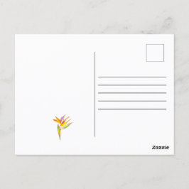 オウムの水色スケッチ ポストカード