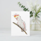 オウムの水色スケッチ ポストカード (スタンド正面)