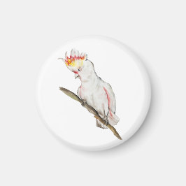 オウムの水色スケッチ マグネット