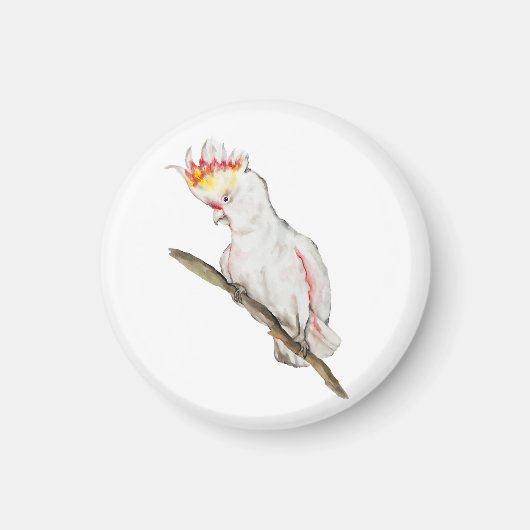 オウムの水色スケッチ マグネット (正面)