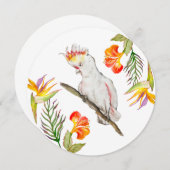 オウムの水色スケッチ 招待状 (正面/裏面)