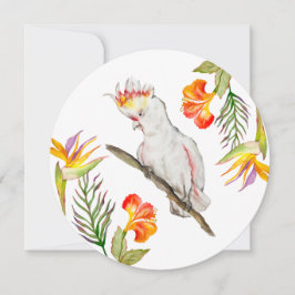 オウムの水色スケッチ 招待状