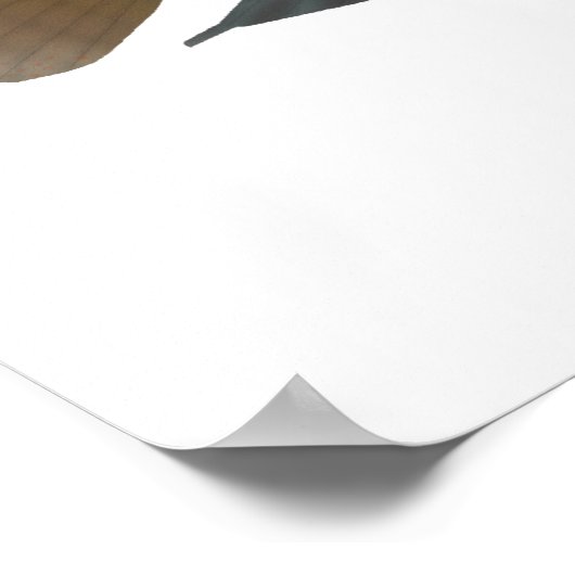 オウムの真 ポスター (角)