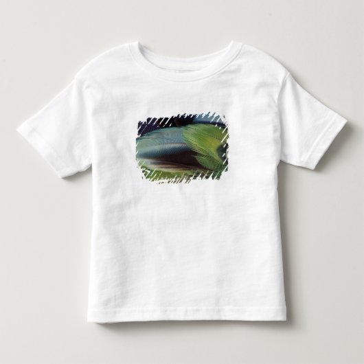 オウムの羽の模様デザイン トドラーTシャツ (正面)