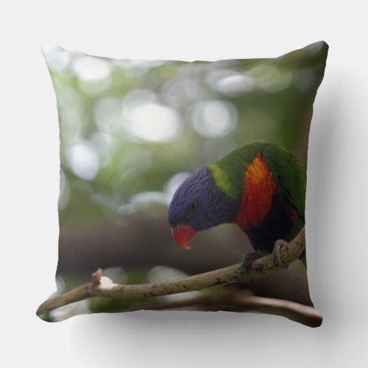 オウムの鳥のトラのプリントは記念日を個人化します クッション (正面)