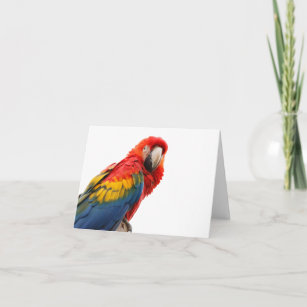 オウムの鳥の美しい写真のブランクのメッセージカード カード