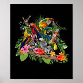オウムの鳥アフリカ灰色オウムのオウム ポスター