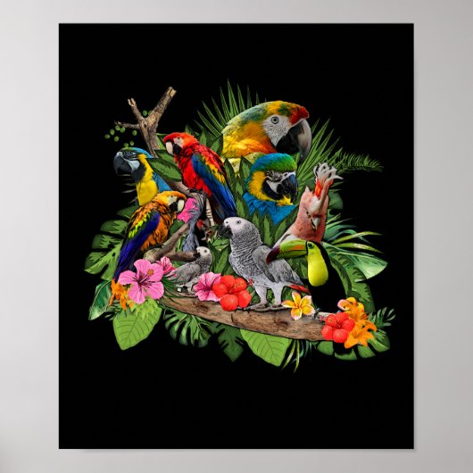 オウムの鳥アフリカ灰色オウムのオウム ポスター (正面)