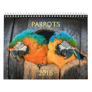 オウムの2016カレンダー、コンゴウインコ、アマゾン、 カレンダー