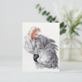 オウムはがき ポストカード (スタンド正面)