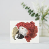 オウムはがき ポストカード (スタンド正面)