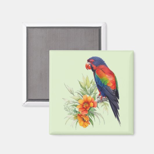オウムカラフルウ マグネット (正面/裏面)