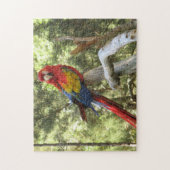 オウムカラフル鳥 ジグソーパズル (縦)