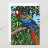 オウムカード 案内状 (正面/裏面)