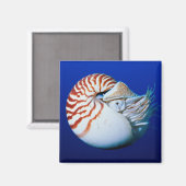 オウムガイのクローズアップ マグネット (正面/裏面)