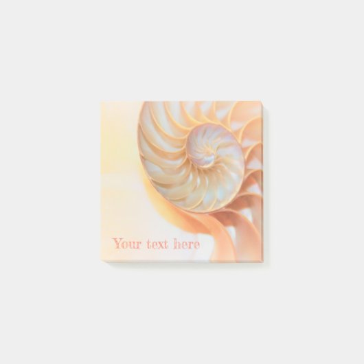 オウムガイの殻の付箋紙 ポストイット (正面)
