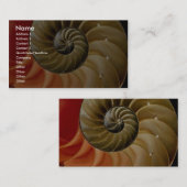 オウムガイの貝の写真 名刺 (正面/裏面)