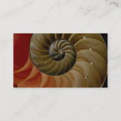 オウムガイの貝の写真 名刺 (裏面)