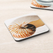 オウムガイの貝殻(オウムガイのstenomphalus) コースター (左側)