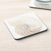 オウムガイの貝、クローズアップ コースター (左側)