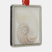 オウムガイの貝、クローズアップ メタルオーナメント (右)