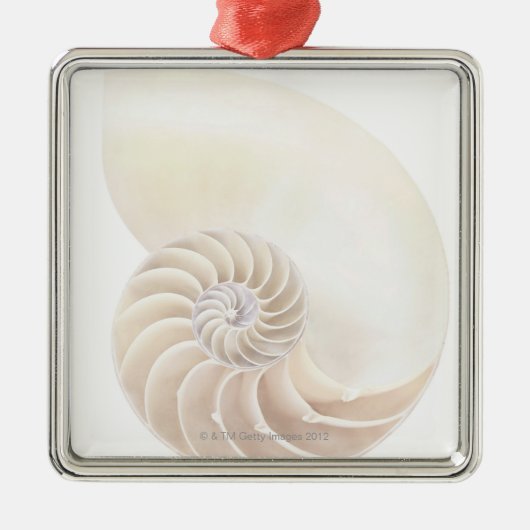 オウムガイの貝、クローズアップ メタルオーナメント (正面)