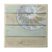 オウムガイの貝 タイル (正面)