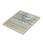 オウムガイの貝 タイル (側面)