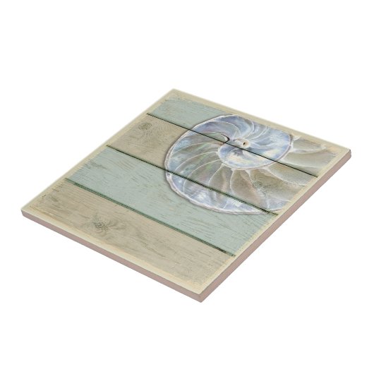 オウムガイの貝 タイル (側面)